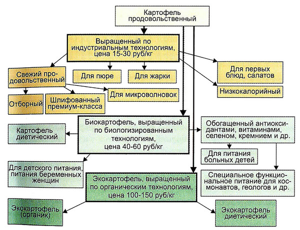 ras-2021-02-24-01