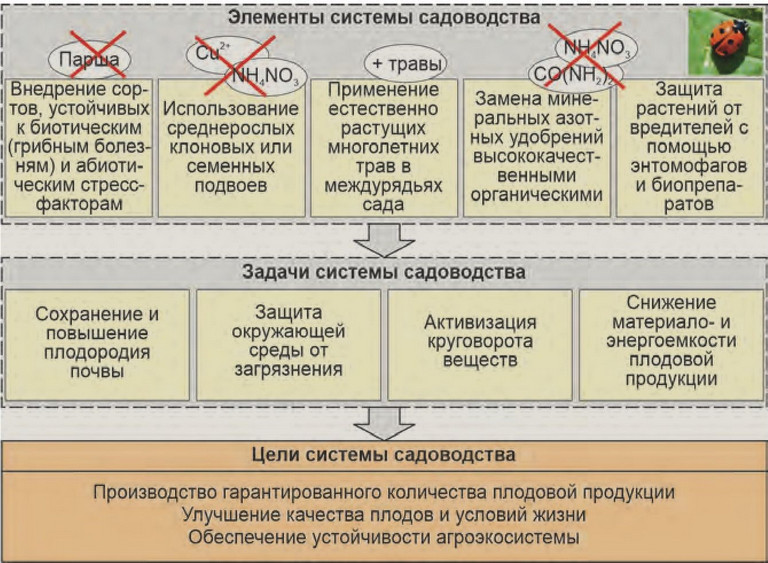 ras-2021-06-11-02